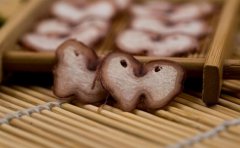 双阳鹿乡老陈家—梅花鹿鹿鞭真的能壮阳？
